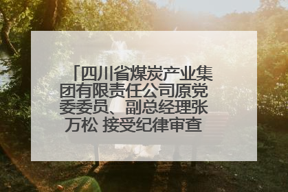 四川省煤炭产业集团有限责任公司原党委委员、副总经理张万松 接受纪律审查和监察调查
